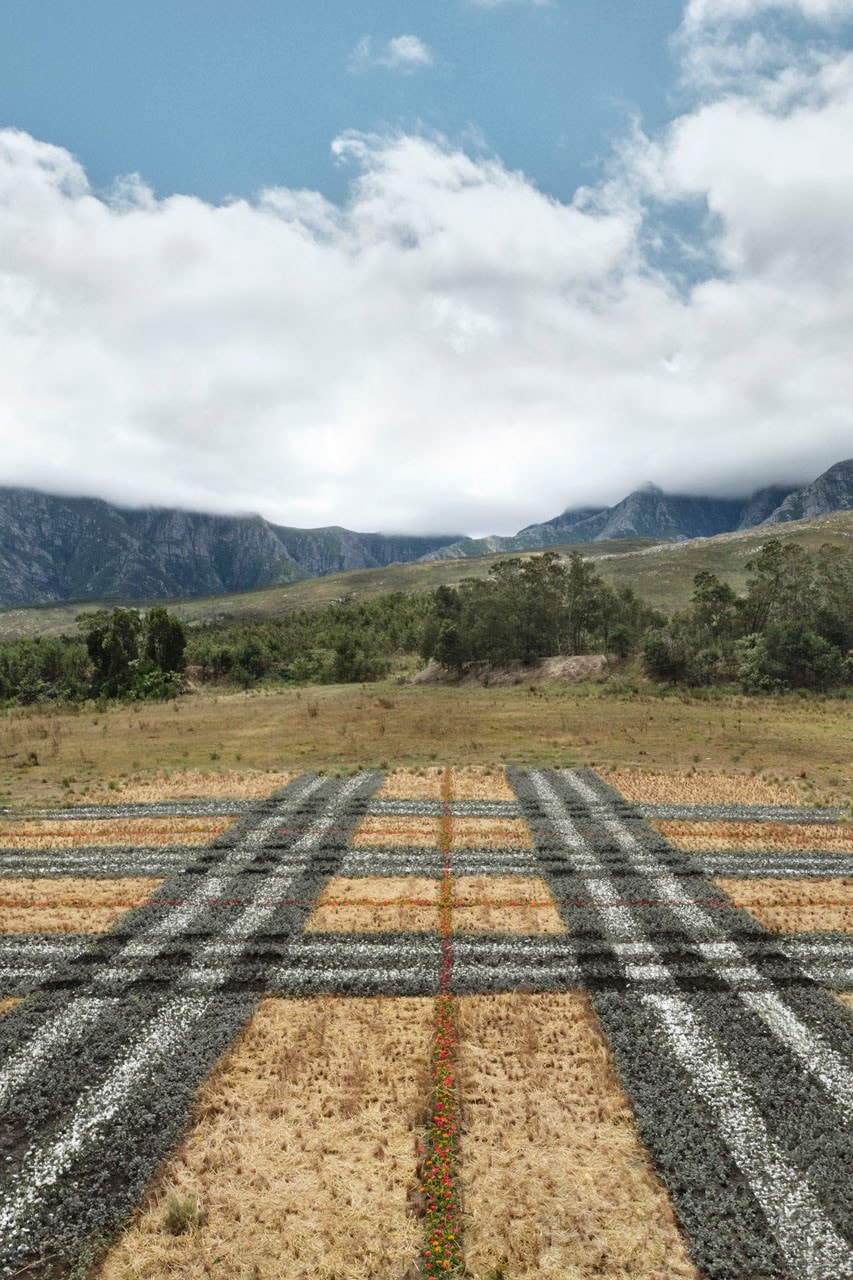 Burberry 全新「經典格紋造型」地景藝術正式登陸南非、加那利群島