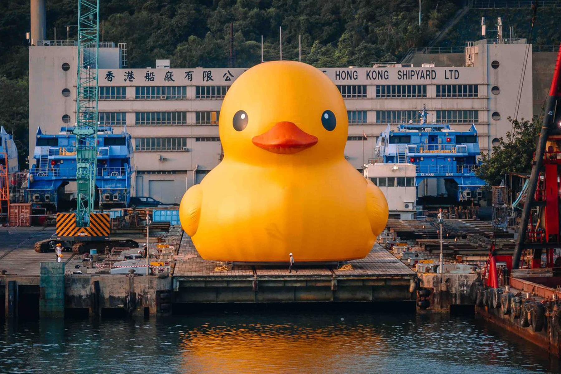 荷兰艺术家 Florentijn Hofman 创作「巨型黄色小鸭」现身香港青衣海域