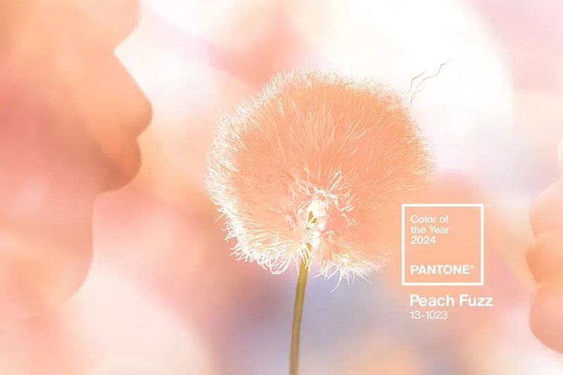 Pantone 正式公布 2024 年度代表色「Peach Fuzz」 Pantone 正式公布 2024 年度代表色「Peach Fuzz」