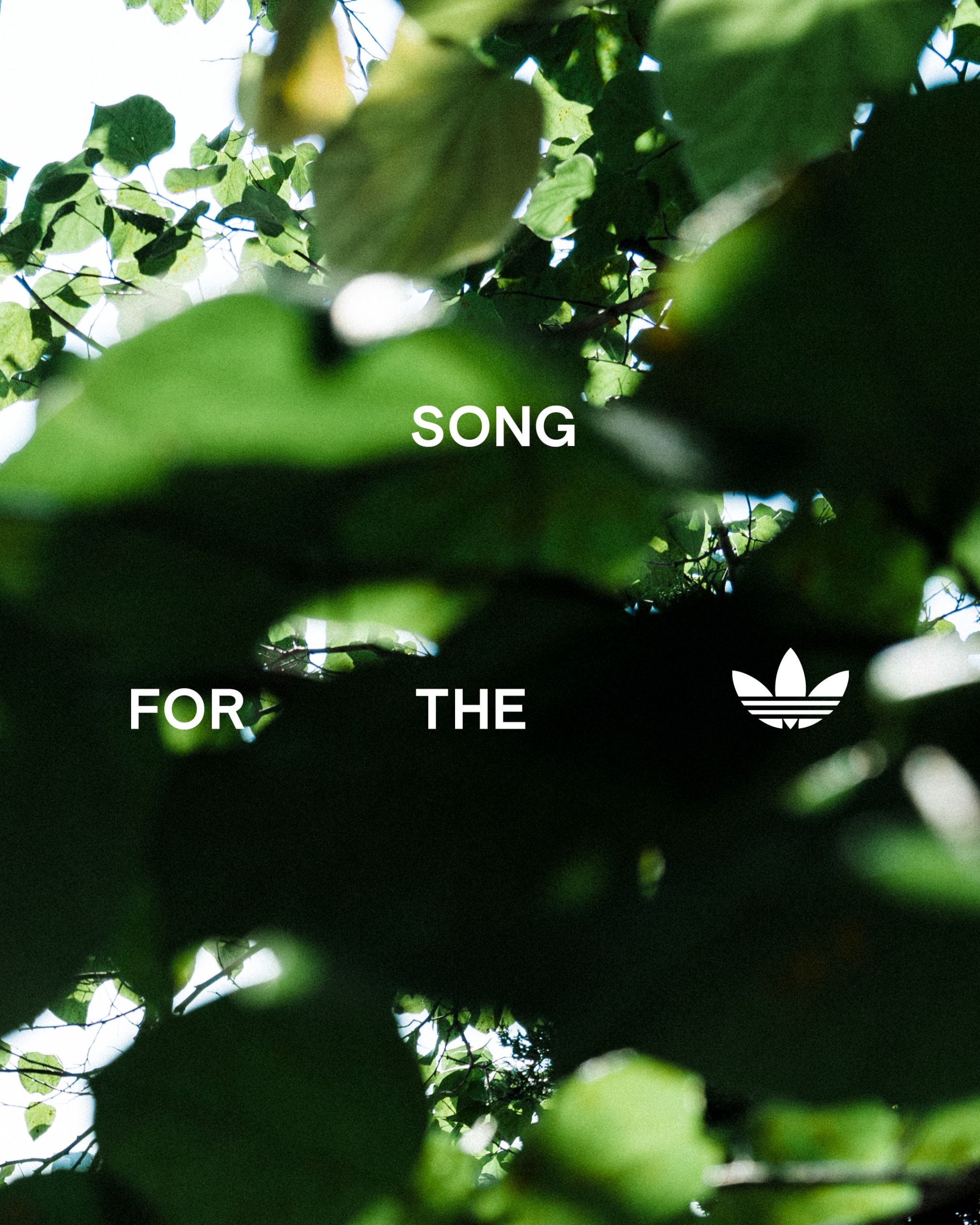 Song for the Mute 携手 adidas Originals 推出全新「Earth Pack」合作系列