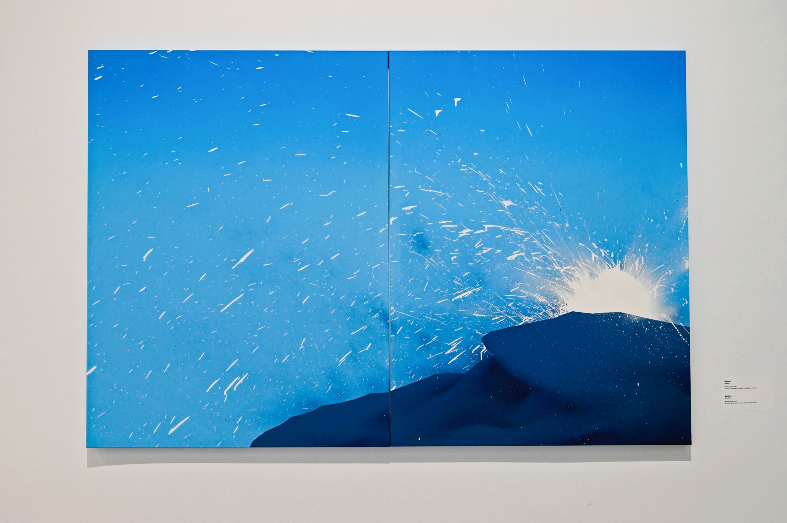 走进艺术家林子楠首个大型个展「能指山水」