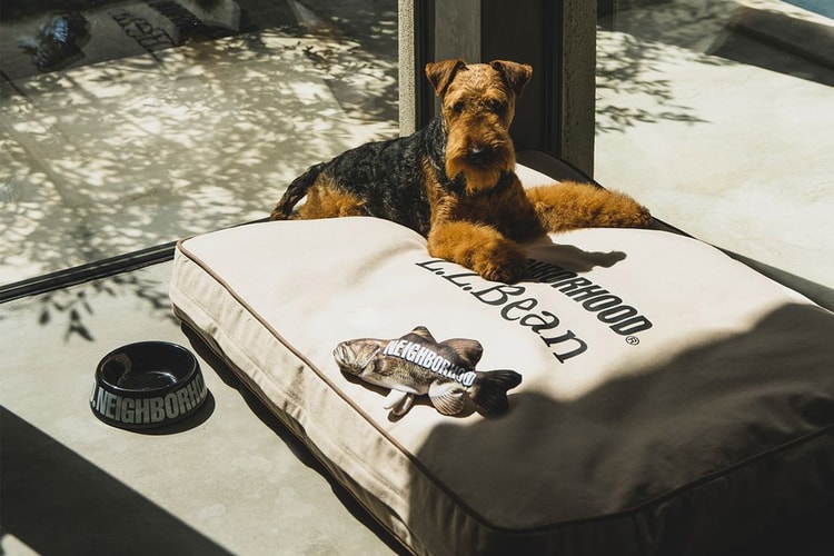 NEIGHBORHOOD 推出 2024 春夏全新寵物用品系列