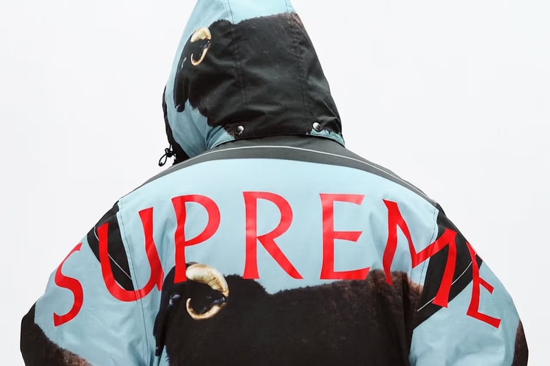 Supreme 2025 春夏系列预告率先公开 Supreme 2025 春夏系列预告率先公开