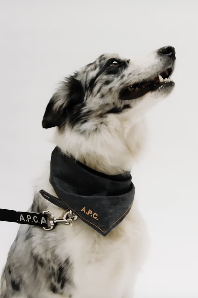 A.P.C. 推出首個寵物犬系列「TOUTOU」