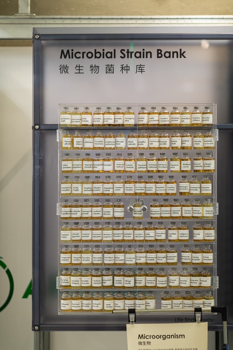 安踏骜杰四周年特殊配色礼盒版登陆 ANTAZERO