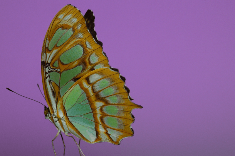 安德烈·加尔瓦尼亚洲首展《虚空迁徙至表面》于 Fotografiska 影像艺术中心呈现