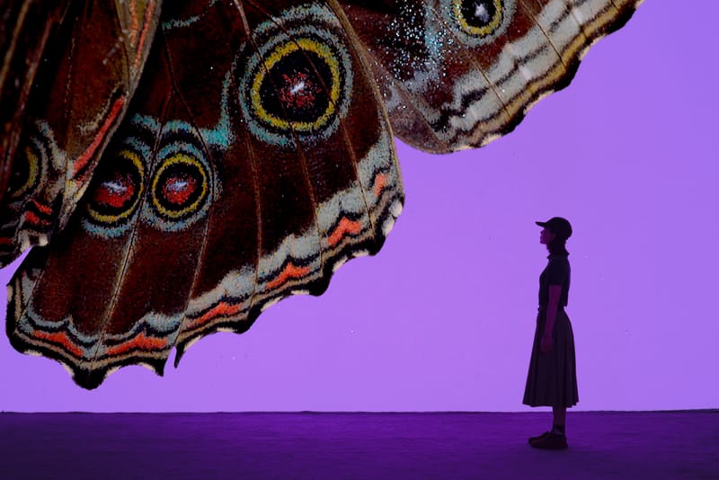 安德烈·加尔瓦尼亚洲首展《虚空迁徙至表面》于 Fotografiska 影像艺术中心呈现