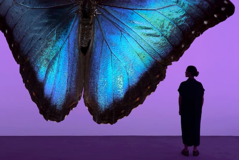 安德烈·加尔瓦尼亚洲首展《虚空迁徙至表面》于 Fotografiska 影像艺术中心呈现