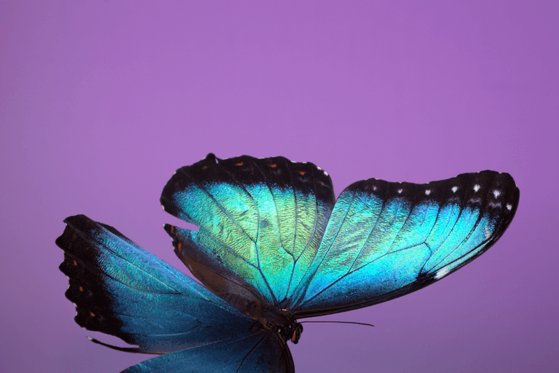 安德烈·加尔瓦尼亚洲首展《虚空迁徙至表面》于 Fotografiska 影像艺术中心呈现