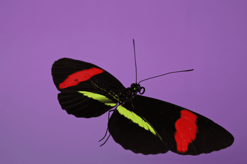 安德烈·加尔瓦尼亚洲首展《虚空迁徙至表面》于 Fotografiska 影像艺术中心呈现