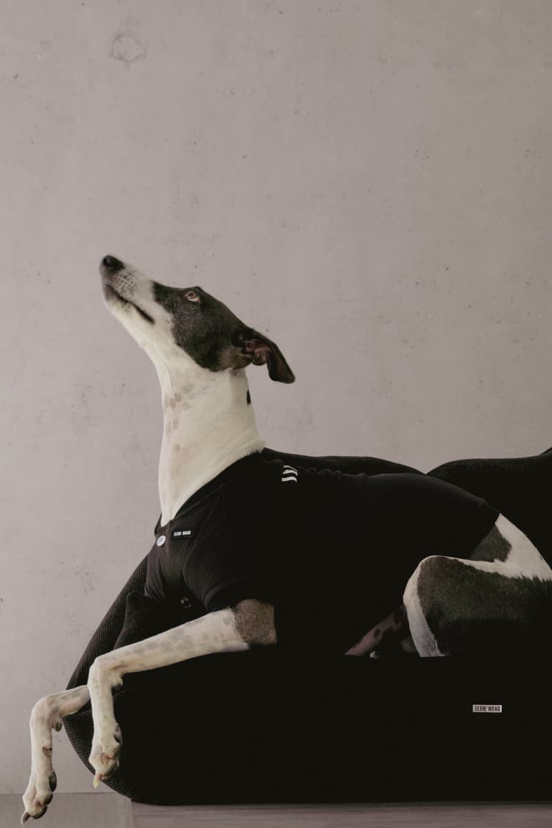 TEAM WANG design 发布 THE ORIGINAL 1 全新生活方式子系列「FRIENDS」