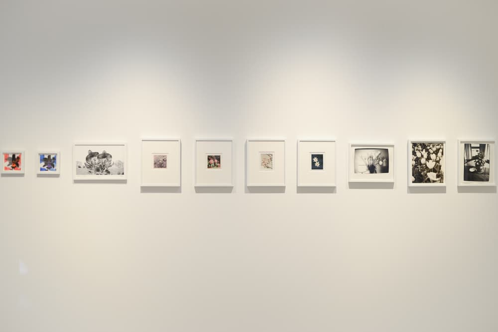 fragment design amkk hiroshi fujiwara succ flower huddle exhibition tokyo