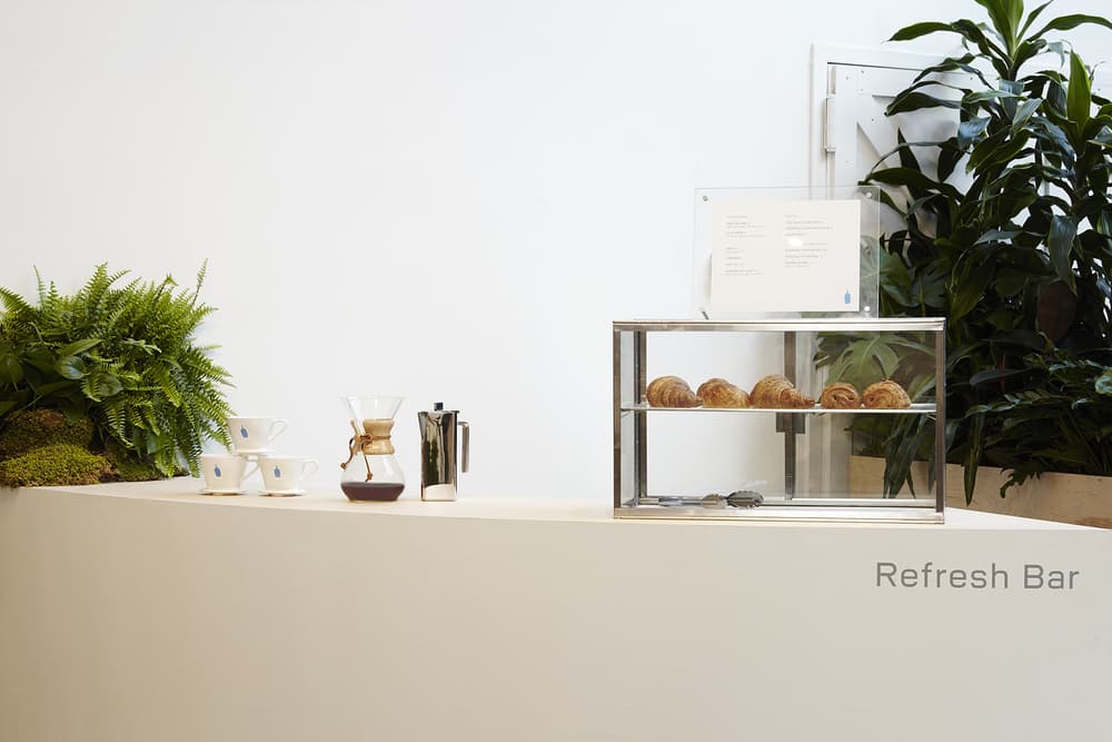 everlane shoe park nyc new york city urban oasis pop up glossier balm dotcom blue bottle coffee