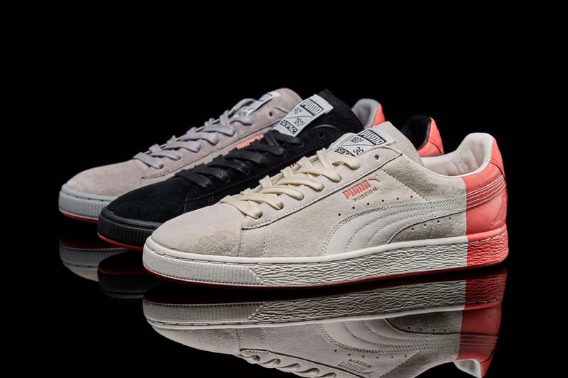 puma clyde pigeon