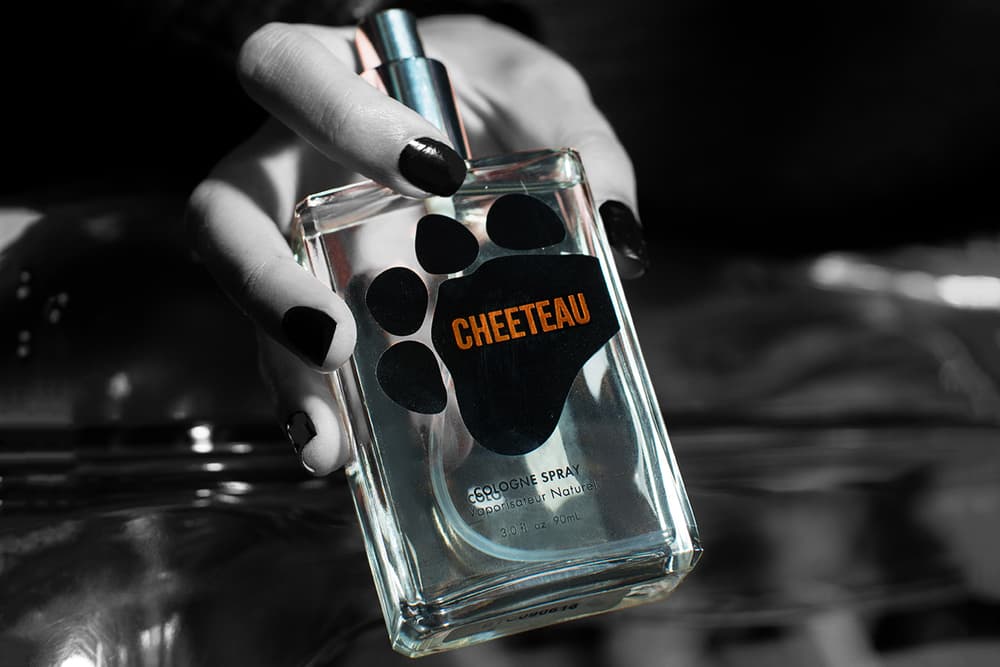 Cheetos Jewelry Earrings Ring