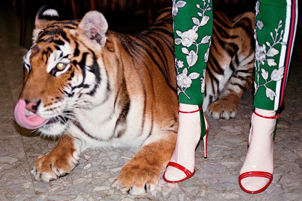 Gucci 2017 Spring/Summer Campaign