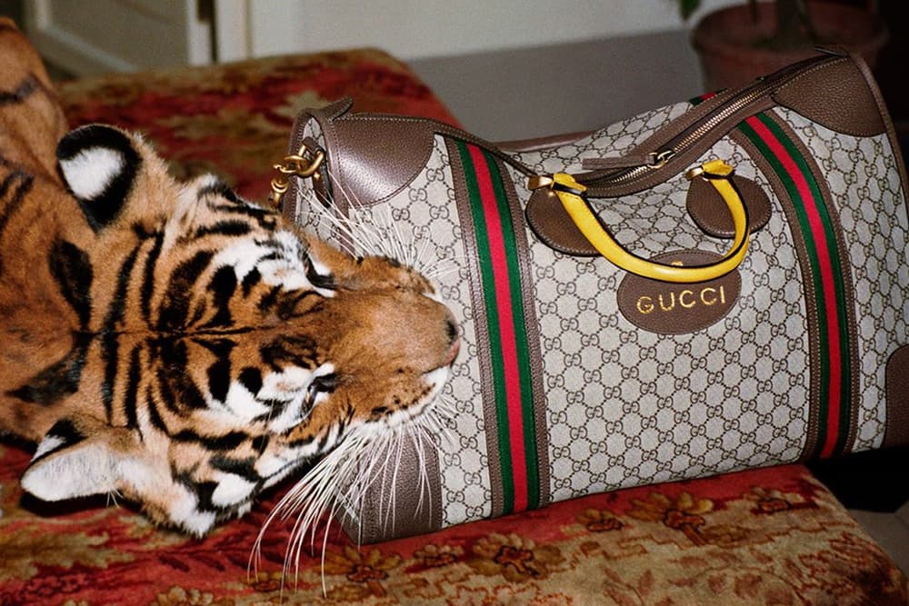 Gucci 2017 Spring/Summer Campaign