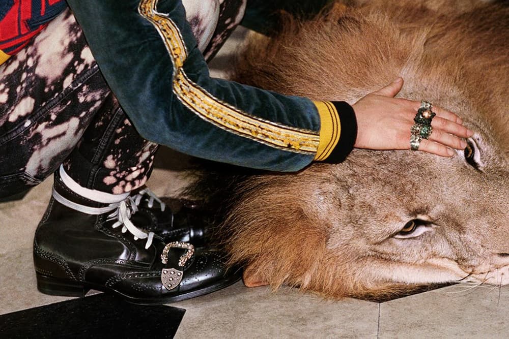 Gucci 2017 Spring/Summer Campaign