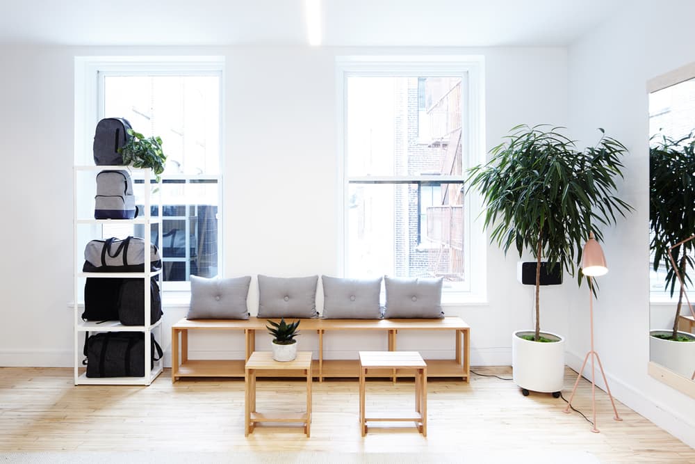 Everlane SoHo Studio