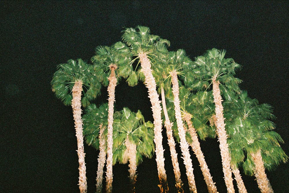 Angel + Dren 2017 Coachella
