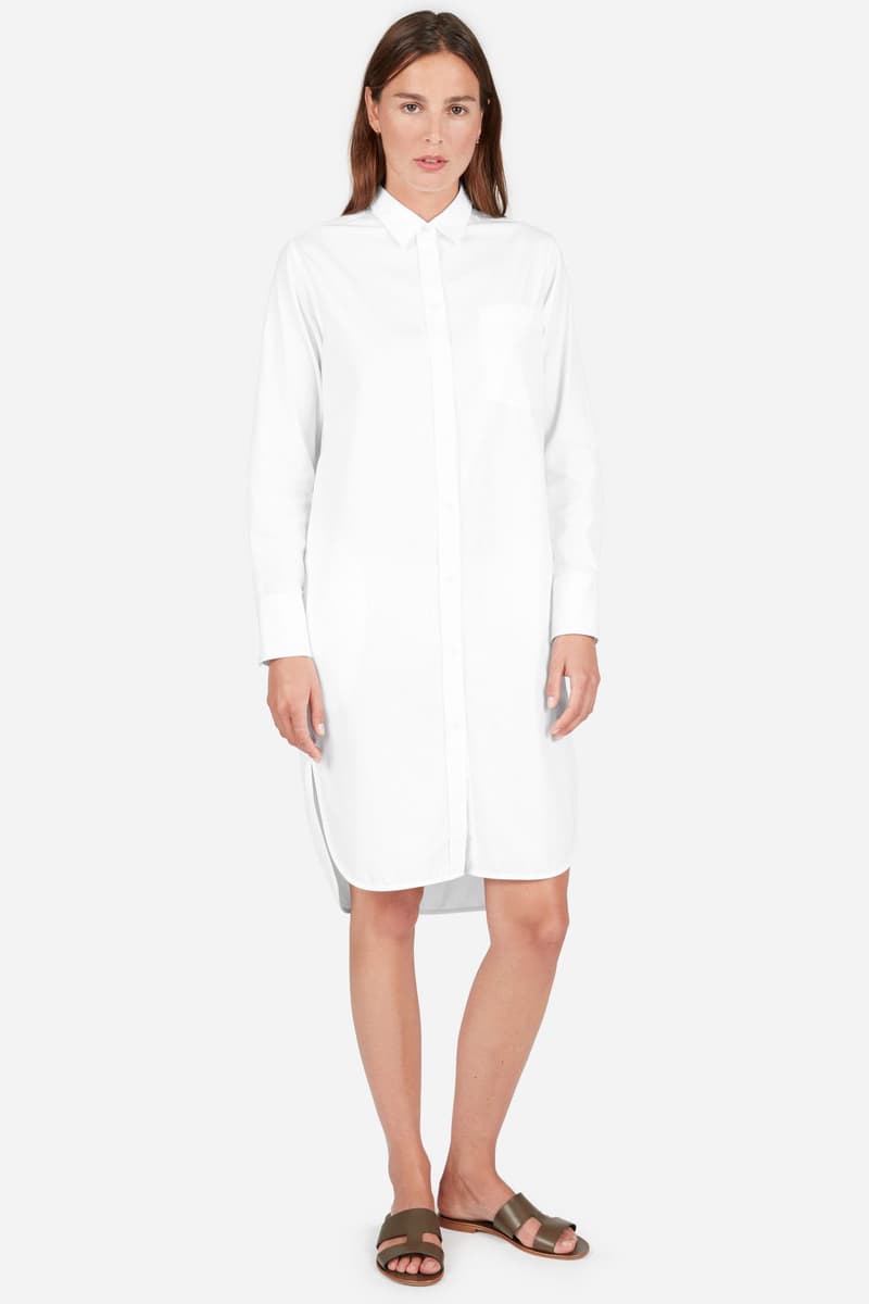 Everlane Shirt Dress Belted Striped Summer