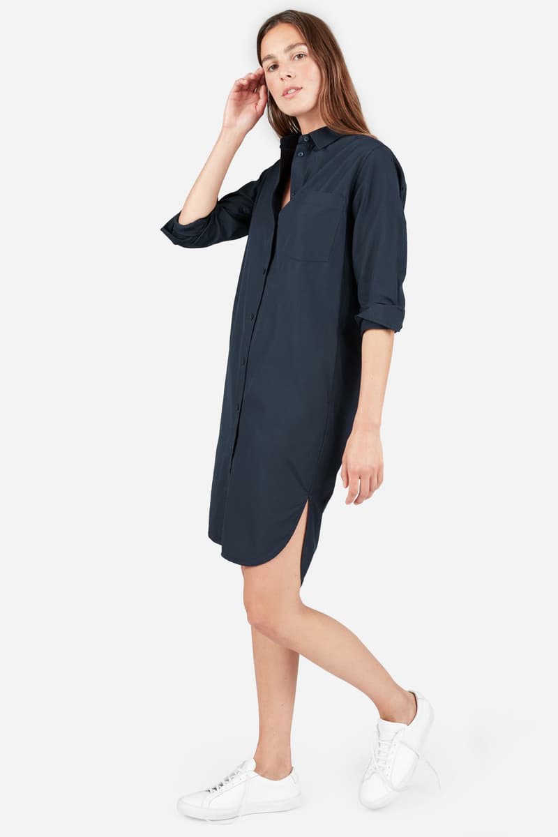 Everlane Shirt Dress Belted Striped Summer
