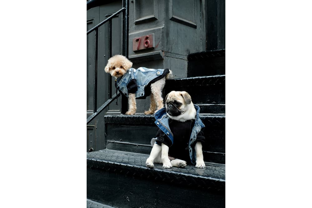 Streetwear Pet Dogs Pawkier Yeezy Puppy Off White Hoodie