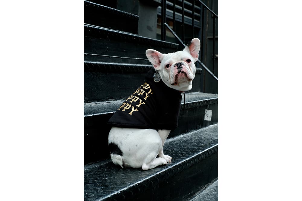 Streetwear Pet Dogs Pawkier Yeezy Puppy Off White Hoodie