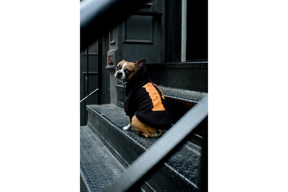 Streetwear Pet Dogs Pawkier Yeezy Puppy Off White Hoodie