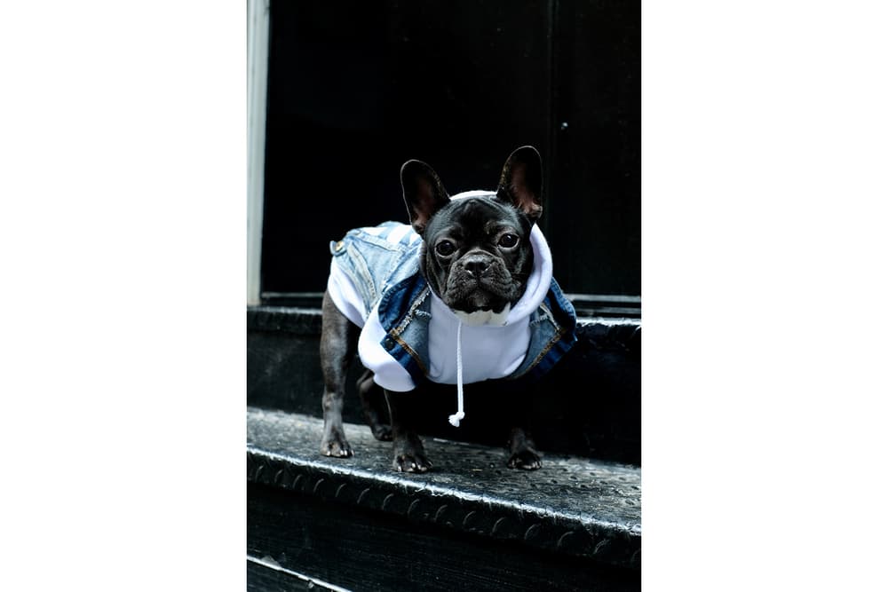 Streetwear Pet Dogs Pawkier Yeezy Puppy Off White Hoodie