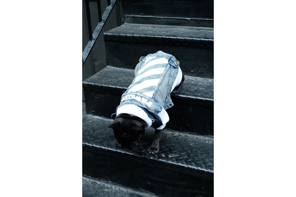 Streetwear Pet Dogs Pawkier Yeezy Puppy Off White Hoodie
