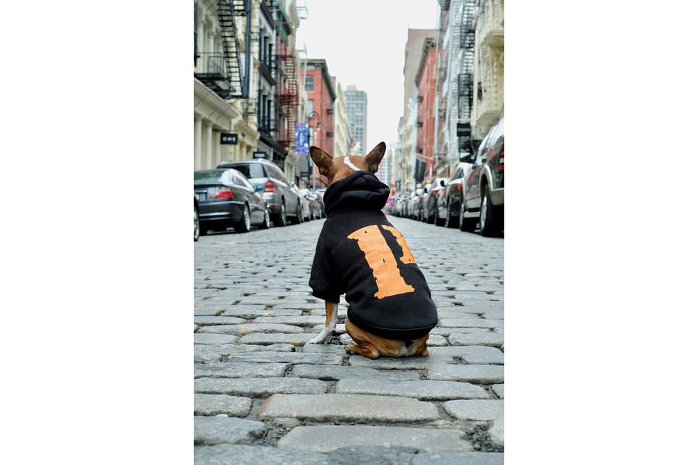Streetwear Pet Dogs Pawkier Yeezy Puppy Off White Hoodie
