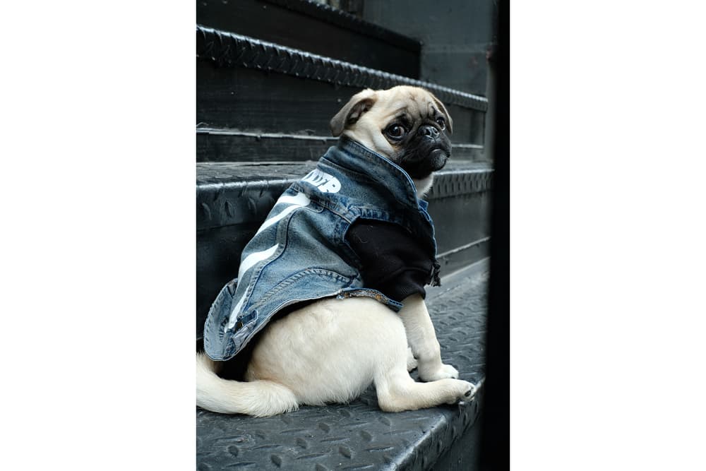 Streetwear Pet Dogs Pawkier Yeezy Puppy Off White Hoodie