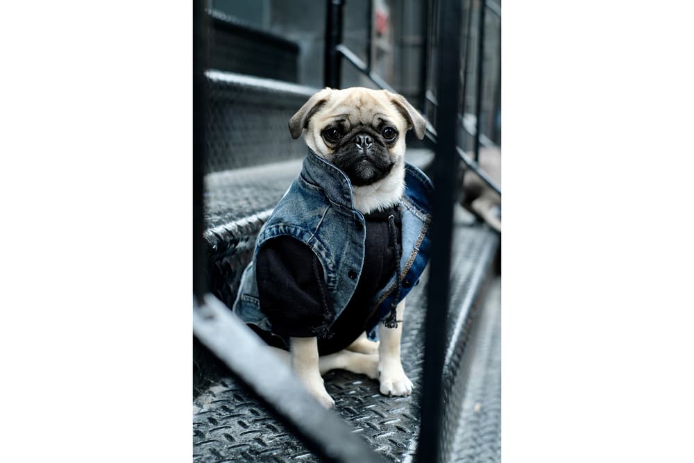 Streetwear Pet Dogs Pawkier Yeezy Puppy Off White Hoodie