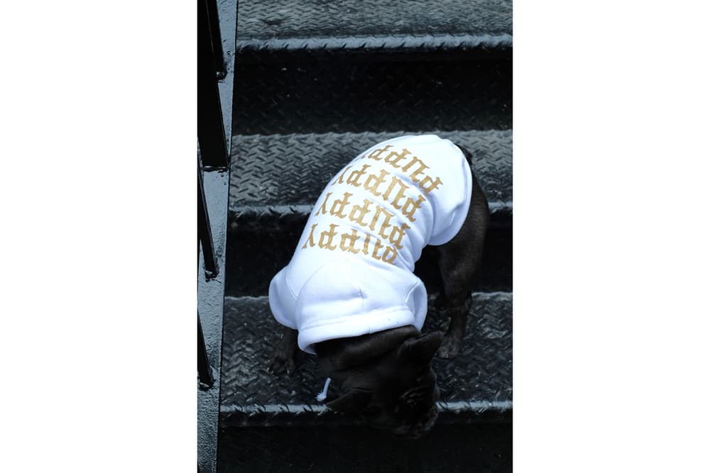 Streetwear Pet Dogs Pawkier Yeezy Puppy Off White Hoodie