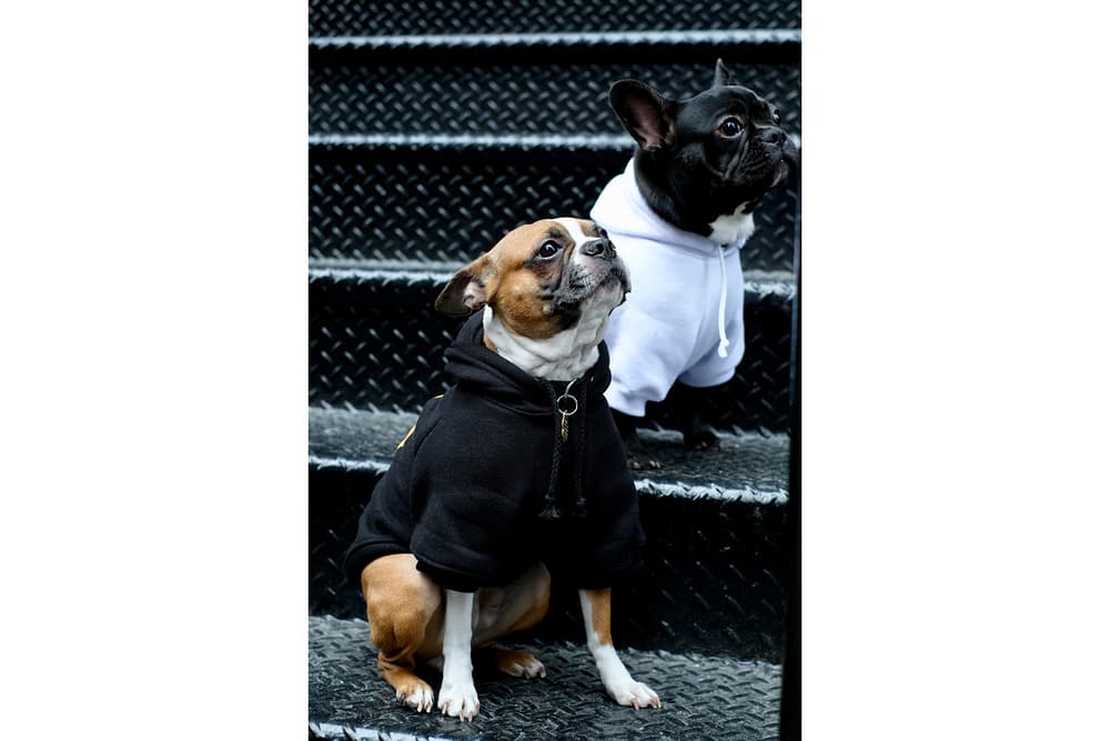 Streetwear Pet Dogs Pawkier Yeezy Puppy Off White Hoodie