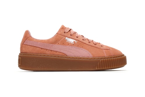 gucci pumas