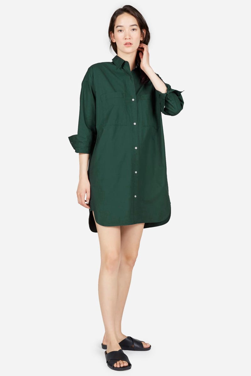 shirt dress everlane