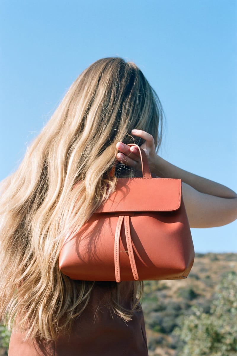 mansur gavriel mini mini lady bag