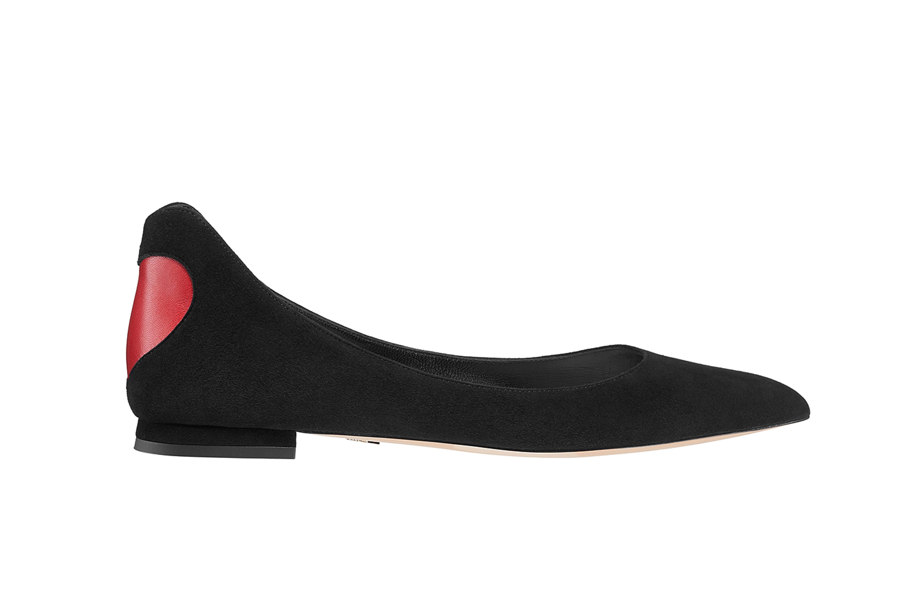 The Dior Amour Pumps With Embroidered 