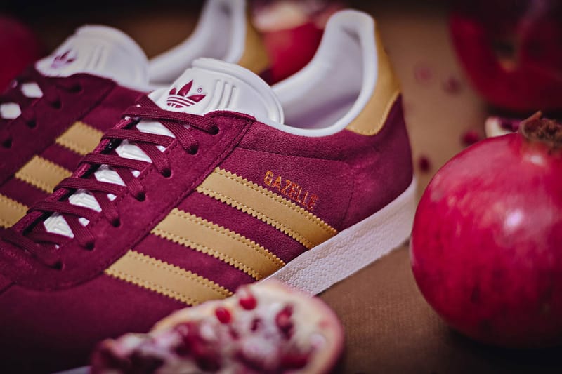 gazelle collegiate burgundy