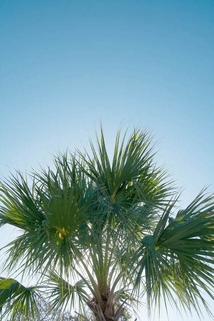 buena onda Summer Series 01 Myrtle Beach Florida