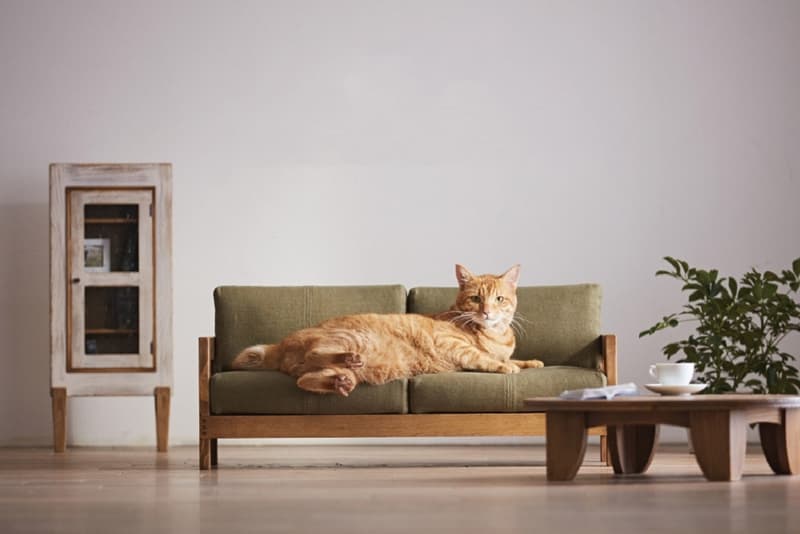 Okawa City Cat Furniture Couches Beds Animals Feline Cute Adorable Miniature
