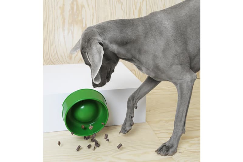 IKEA Lurvig Furniture Collection Pets Accessories