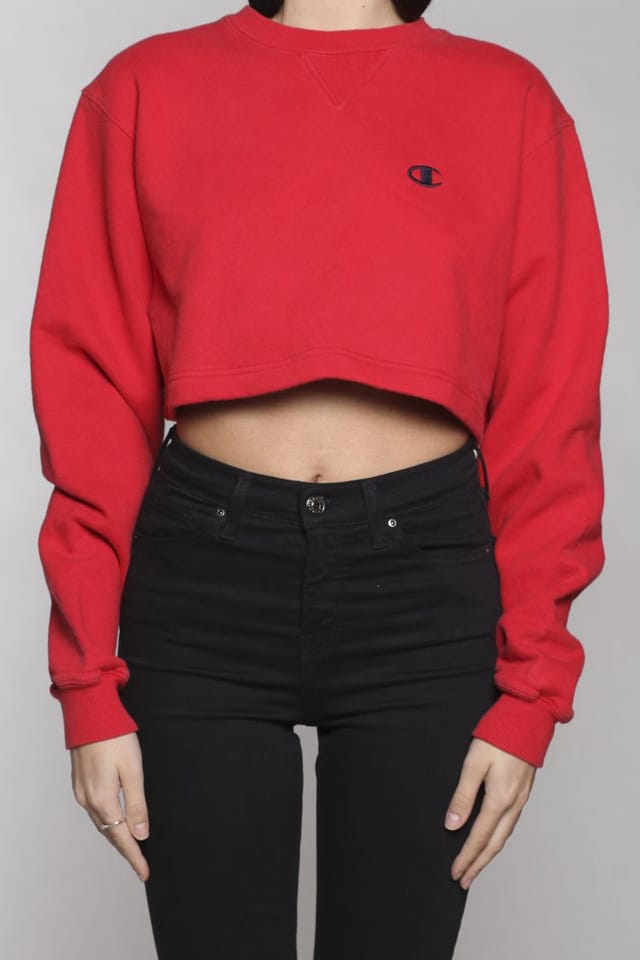 vintage champion crop sweatshirt