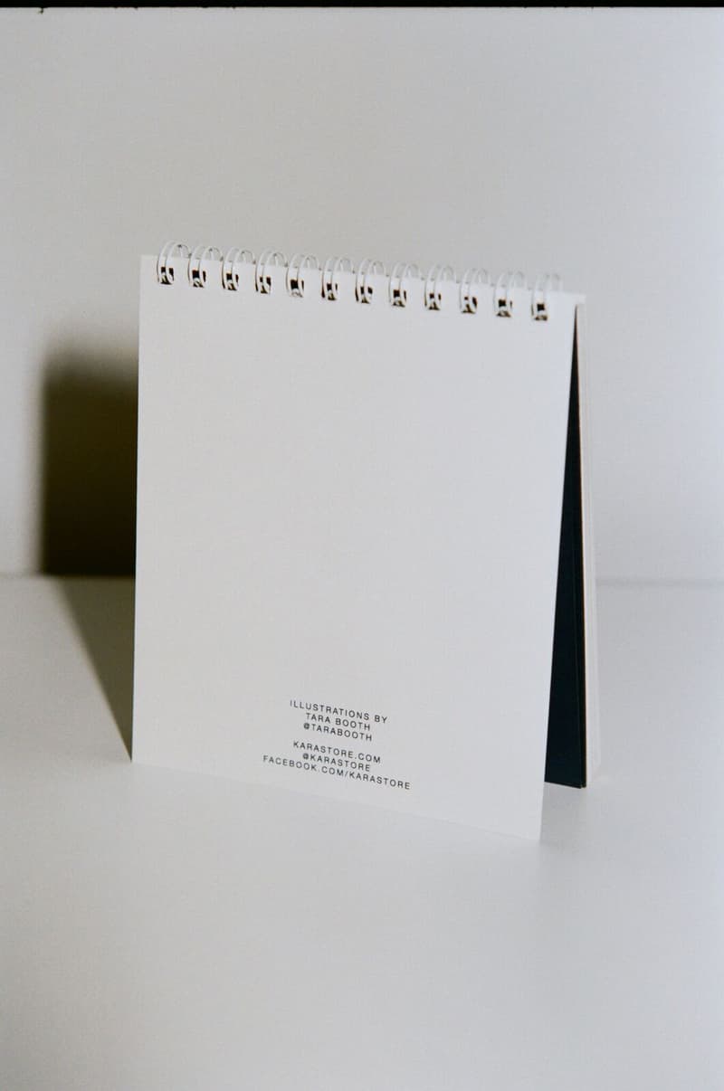 KARA 2018 Desk Calendar Tara Booth Planner Year Gift Stocking Stuffer Ideas Cute Illustrations