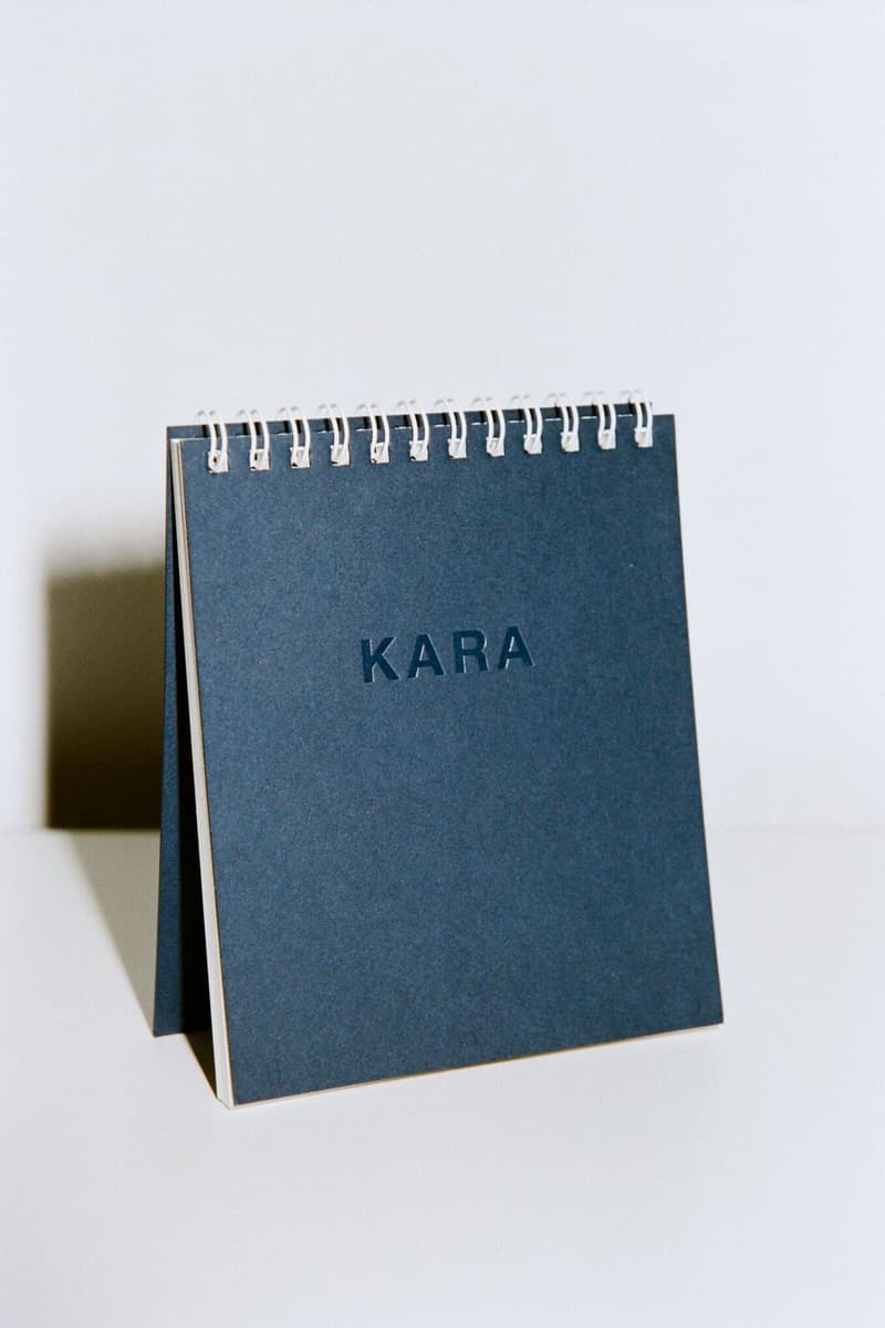KARA 2018 Desk Calendar Tara Booth Planner Year Gift Stocking Stuffer Ideas Cute Illustrations