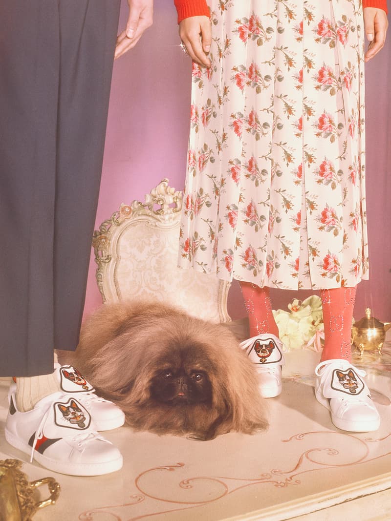 Gucci Year of the Dog 2018 Collection