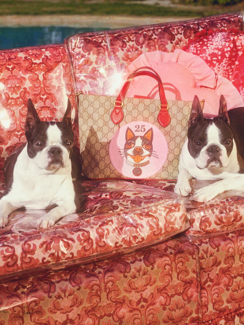 Gucci Year of the Dog 2018 Collection