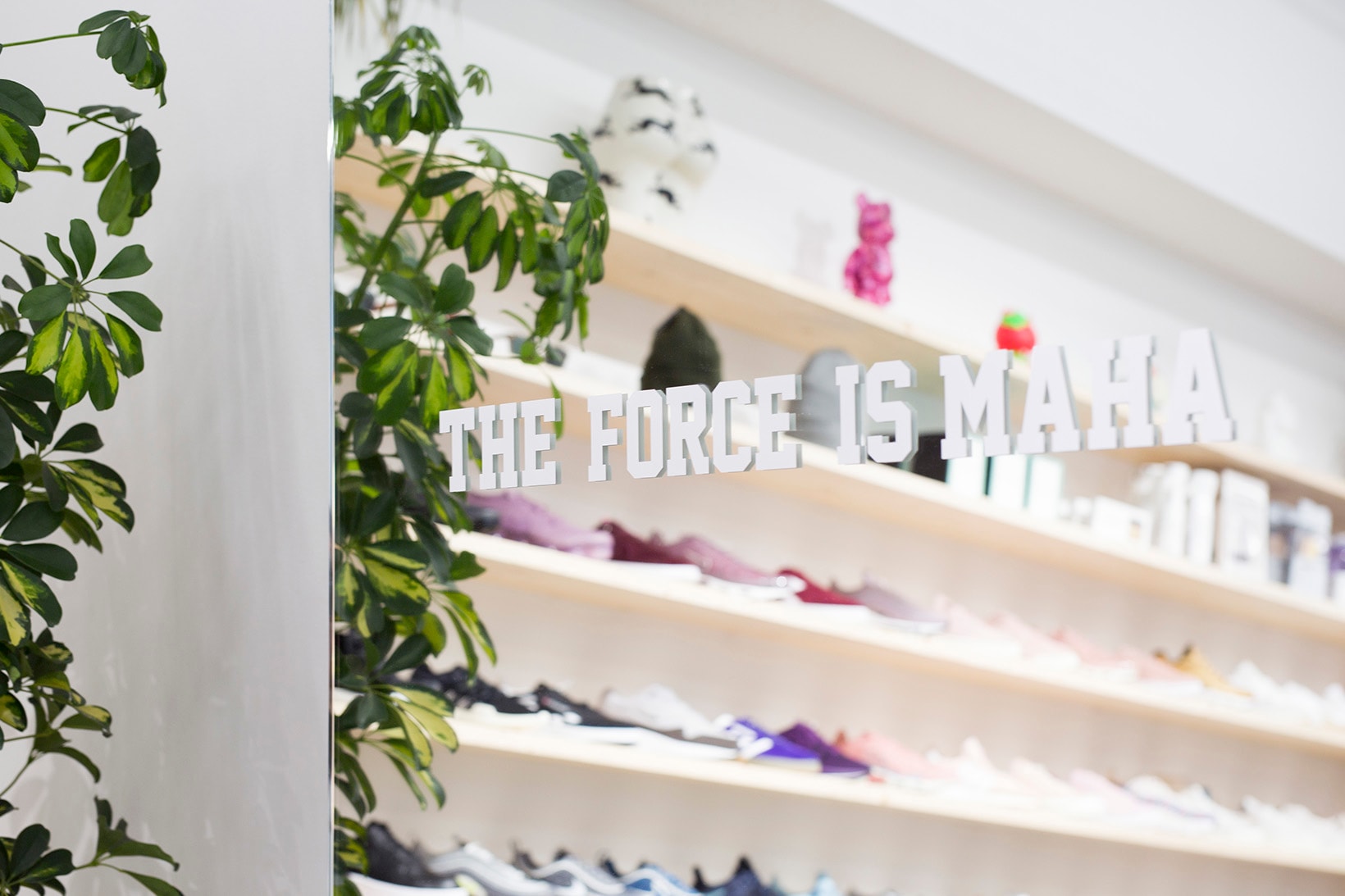 Maha amsterdam womens sneakers female footwear shopping interior sneaker store cool stores ladies girls
